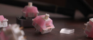 img 8748